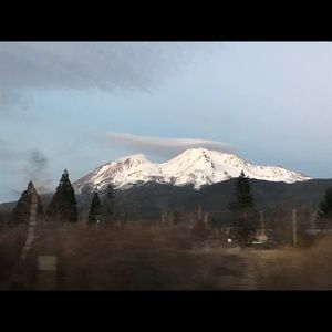 Meet your Posher, Jeanette